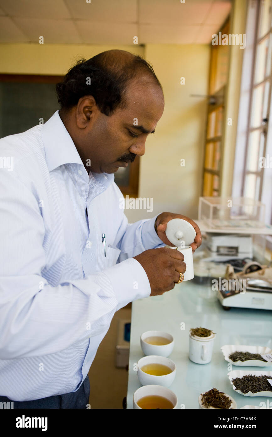 Tea taster, Thiashola tea factory, Tamil Nadu Stock Photo Alamy