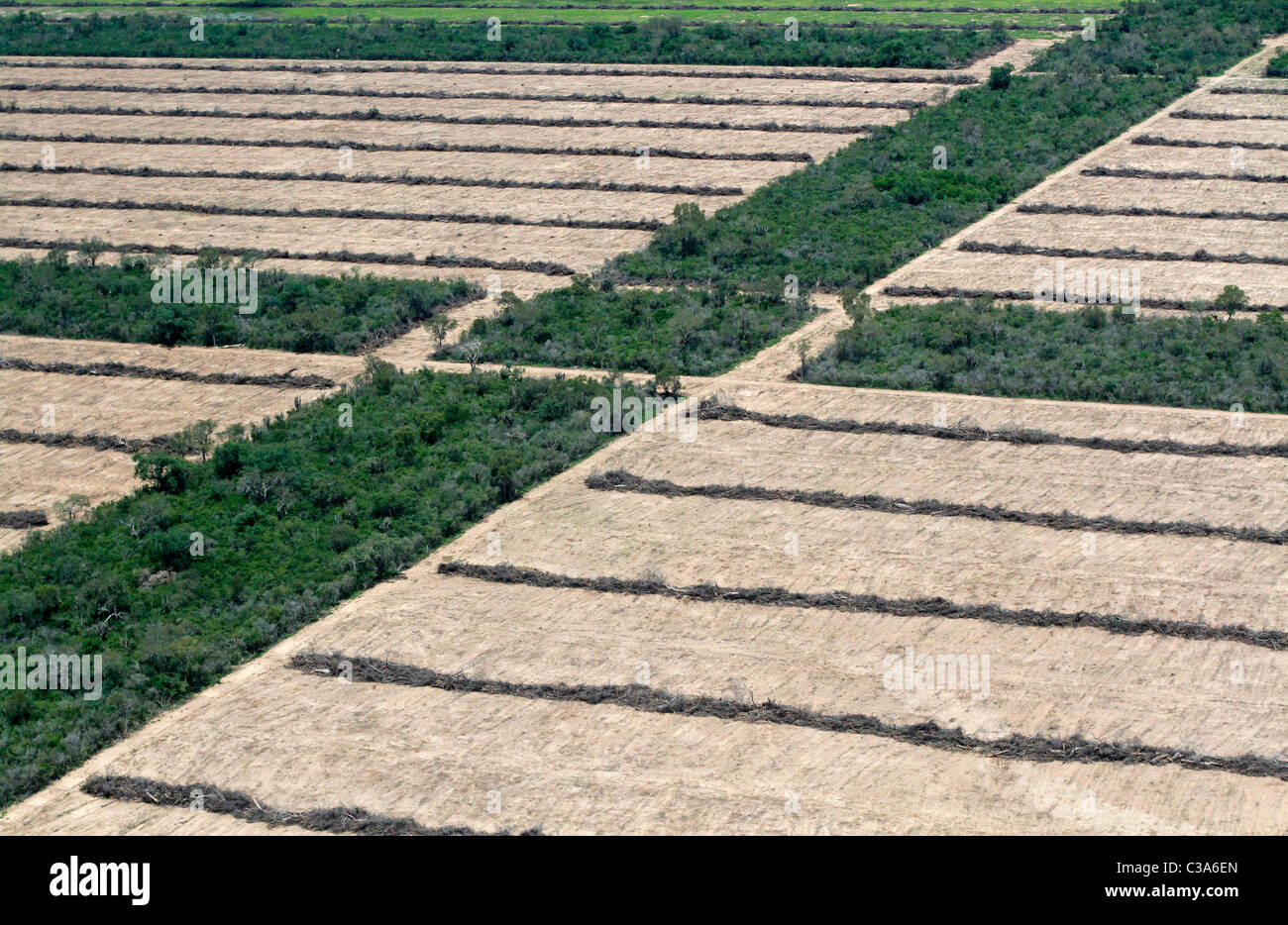 Deforestation in the Gran Chaco near Mariscal Estigarribia, Paraguay Stock Photo