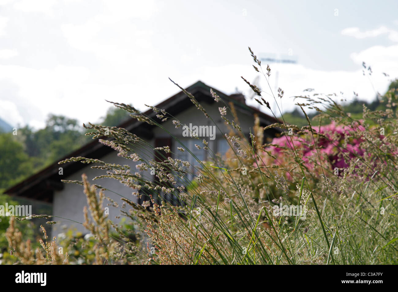Grass and flowers with an alpine hut in the background Stock Photo