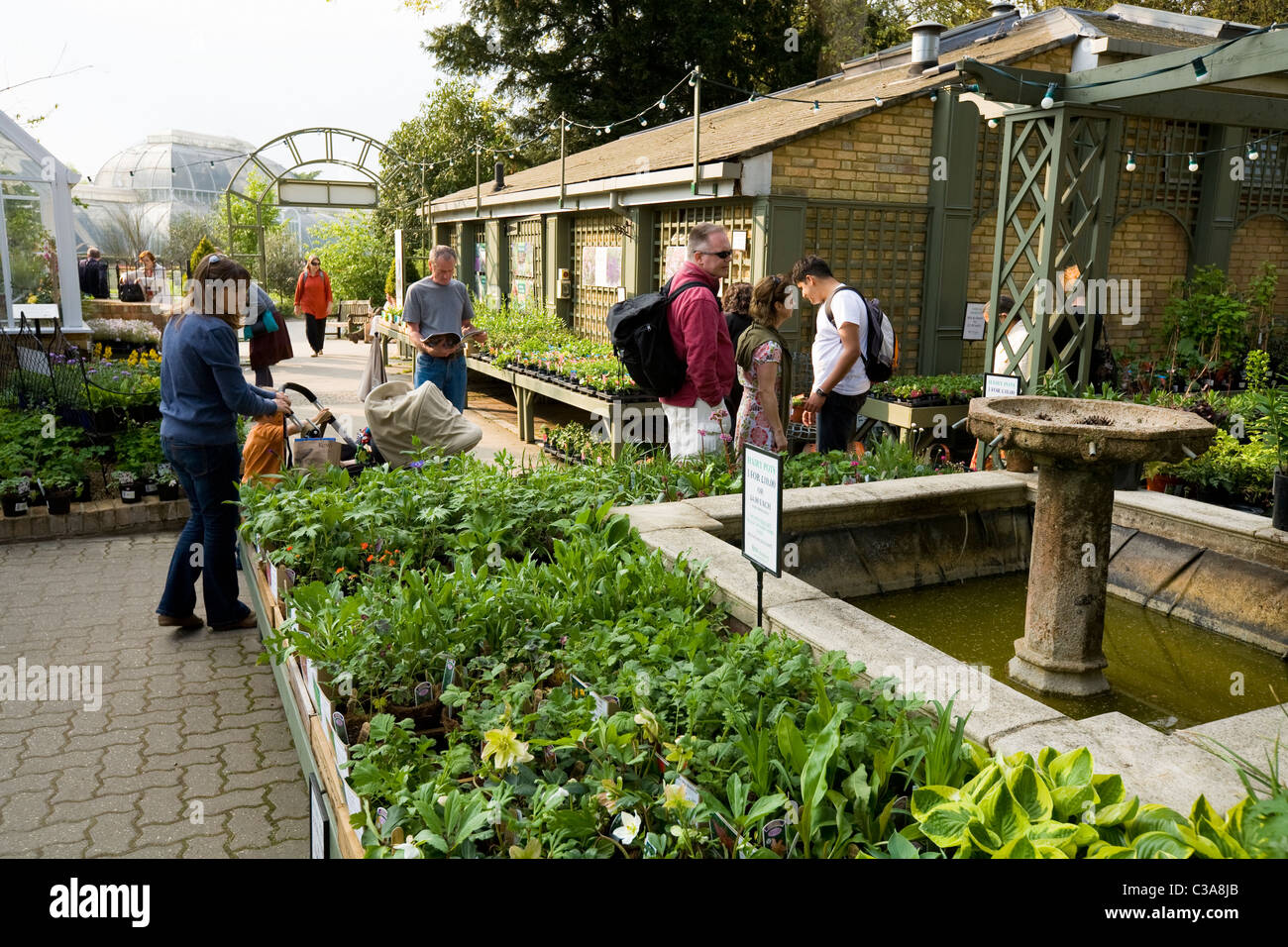 Plant Sales in the shop Customer / customers & flowers / flower display / displays / plants at