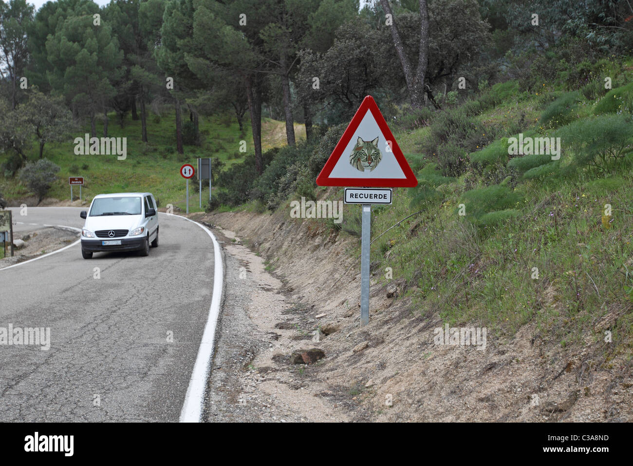 Iberian lynx (Lynx pardinus) road signs Stock Photo - Alamy