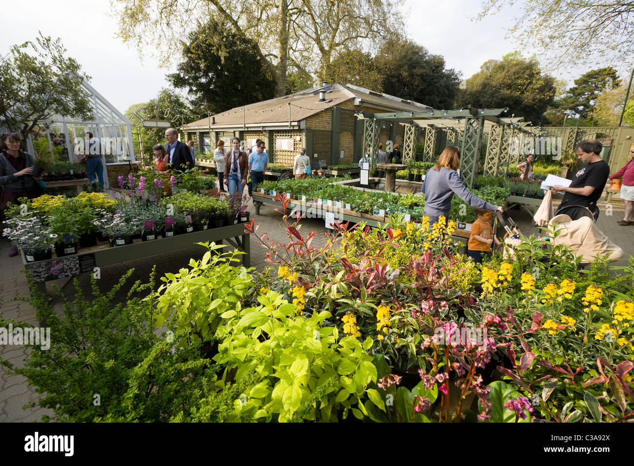 Customer garden centres uk hires stock photography and images Alamy