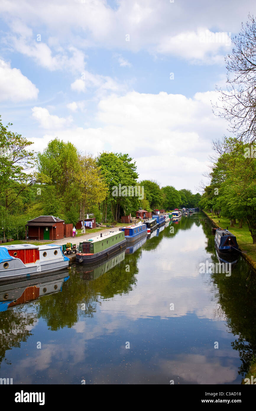 The marina on the Leeds Liverpool canal at Leeds West Yorkshire UK Stock Photo