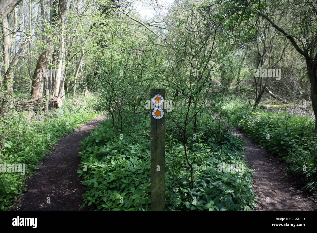 Signs walkway hi-res stock photography and images - Alamy