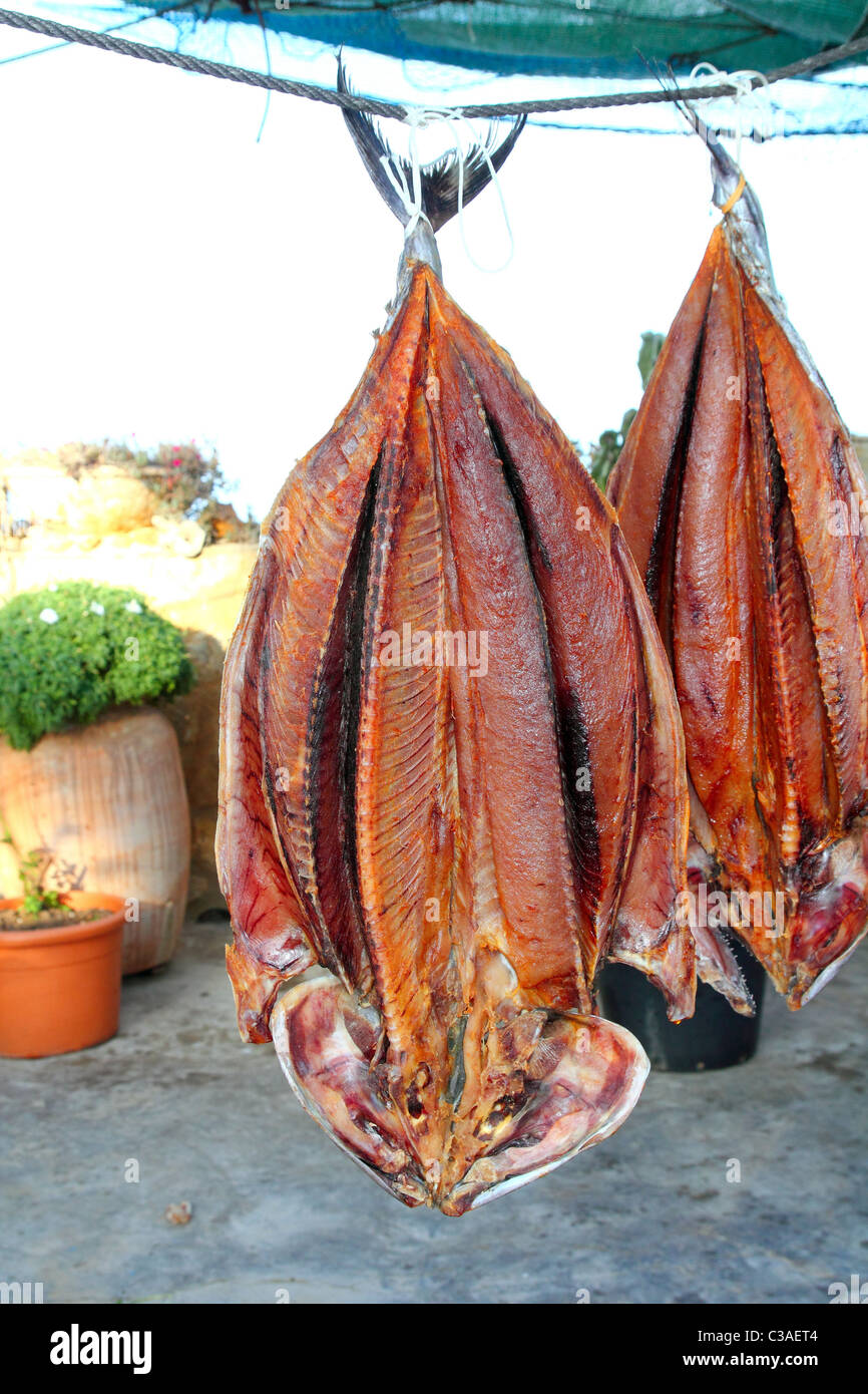 bonito tuna salted dried fish Mediteraranean sarda style Stock Photo