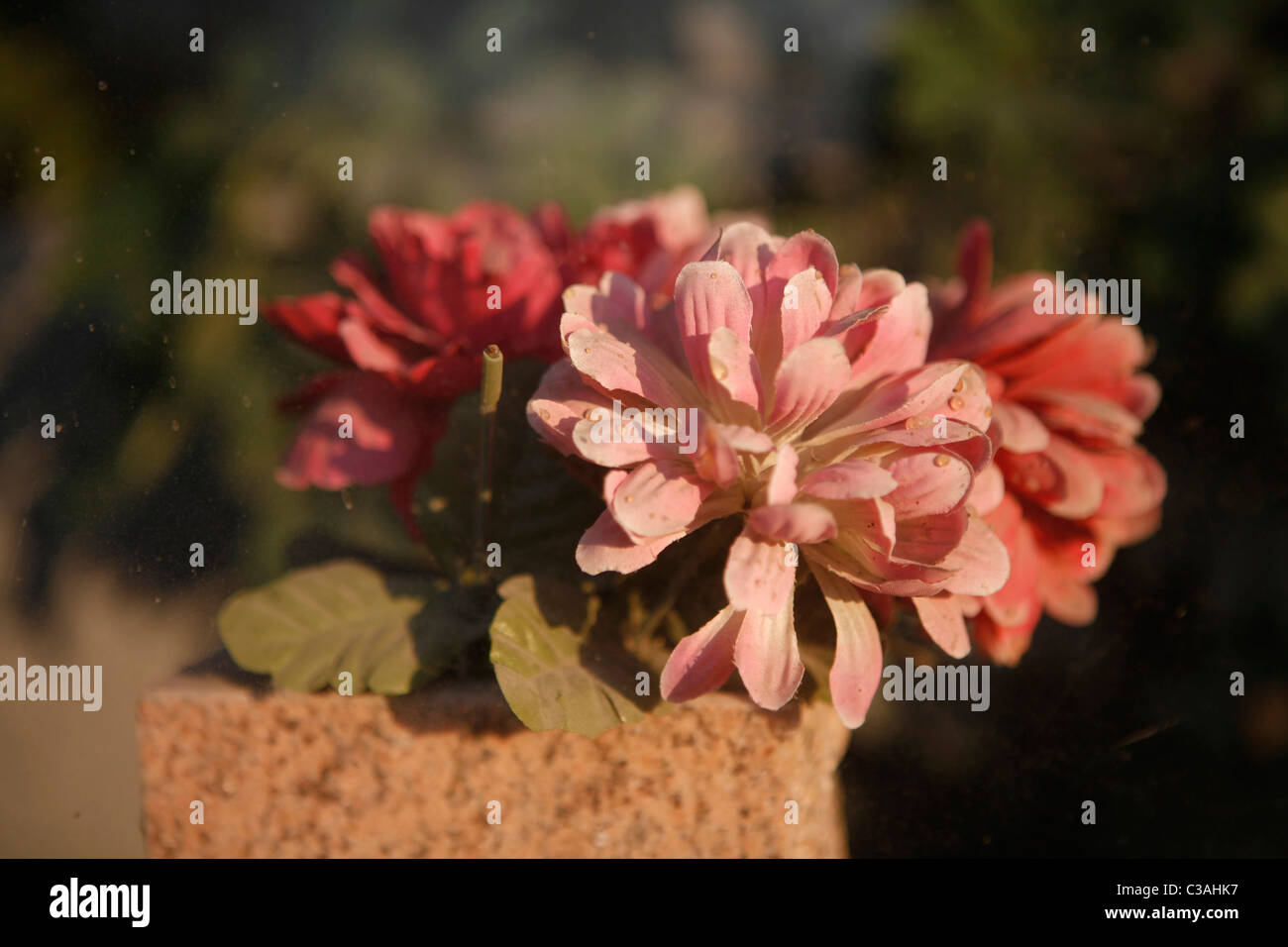 Plastic flowers sit fading in the sun in Cairo, Illinois a city at the
