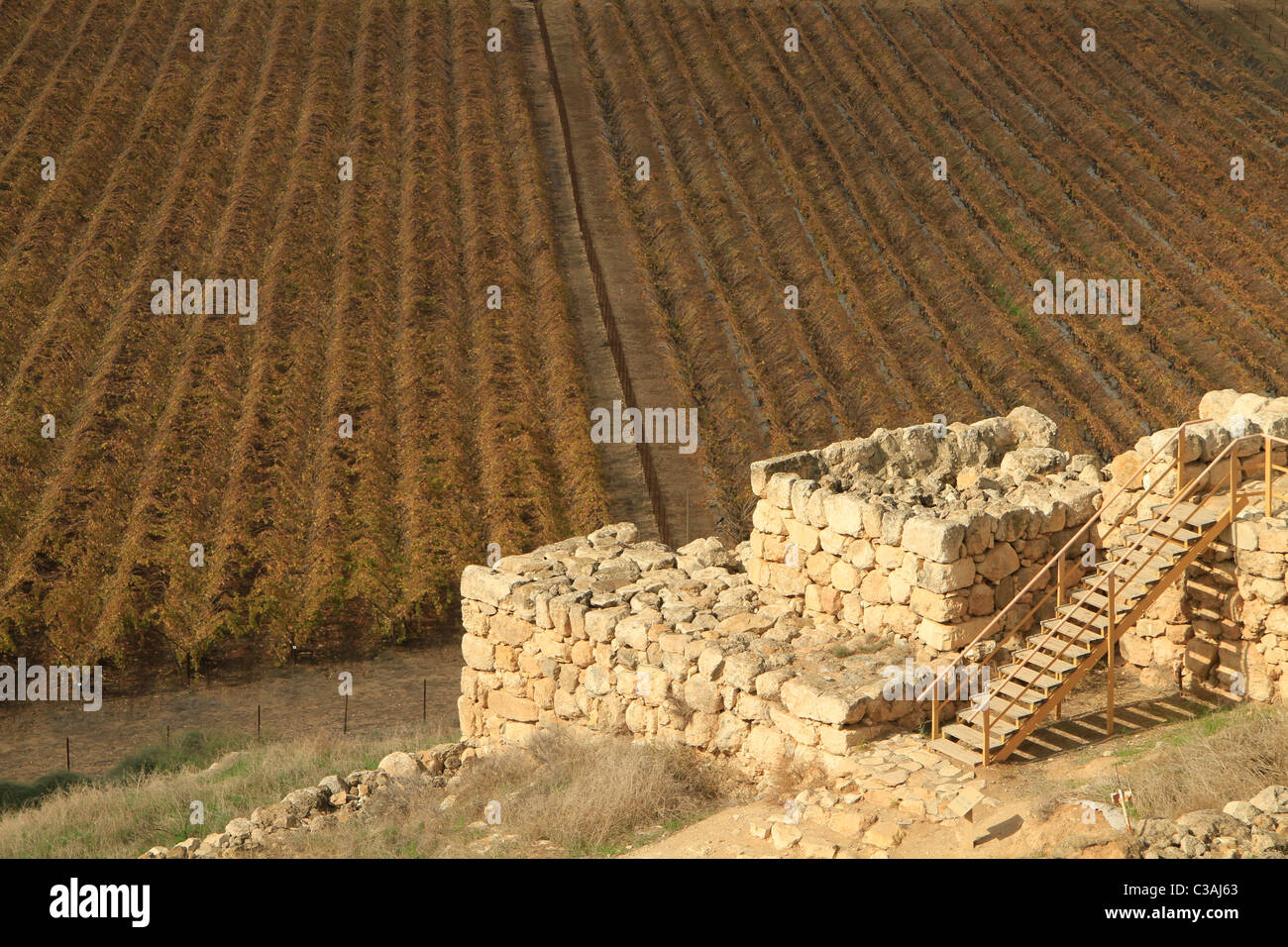 Israel, Shephelah,Tel Lachish, the site of the biblical Lachish, the city gate Stock Photo
