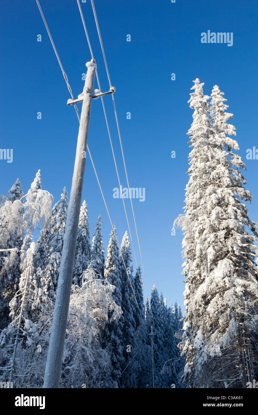 Snowy utility pole and overhead power lines at Winter in the taiga forest , Finland Stock Photo