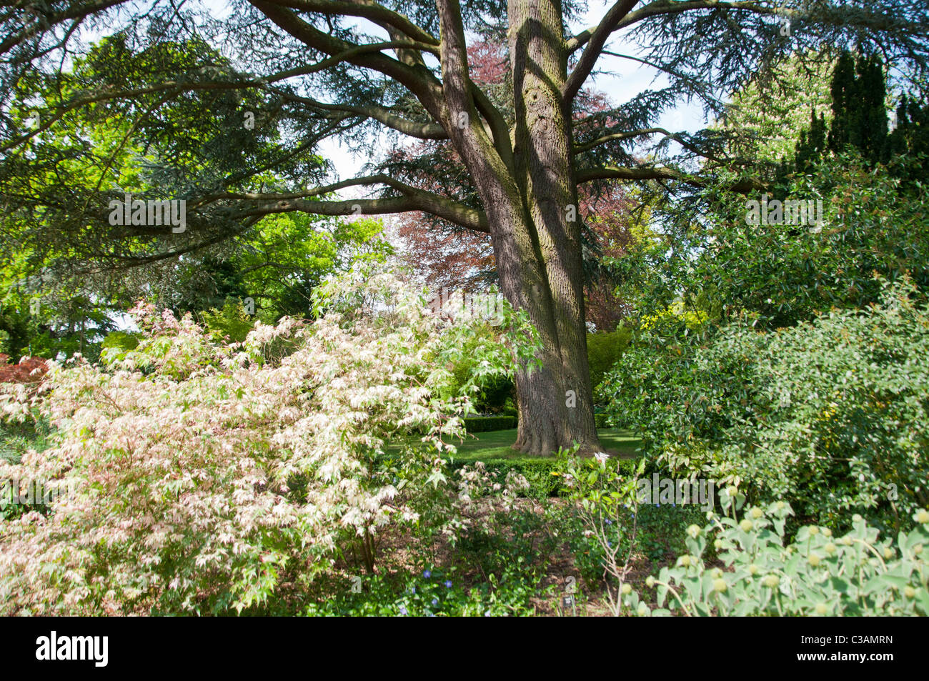 Blenheim Palace's 'Secret Garden'  - England. Stock Photo