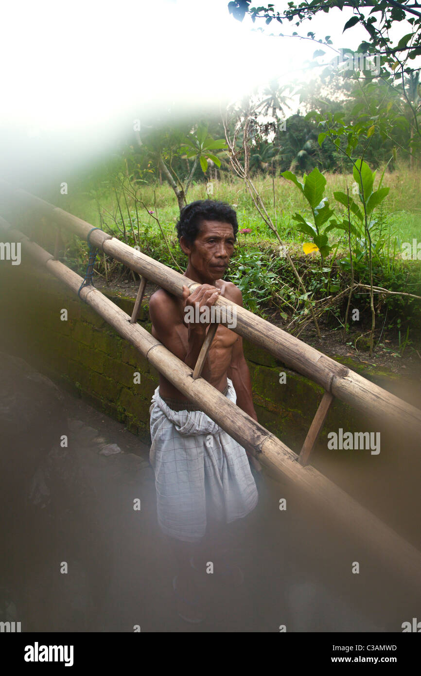 A BALINESE MAN carries a ladder at the Hindu Shrine of YEH PULU near UBUD - BEDULU, BALI, INDONESIA Stock Photo