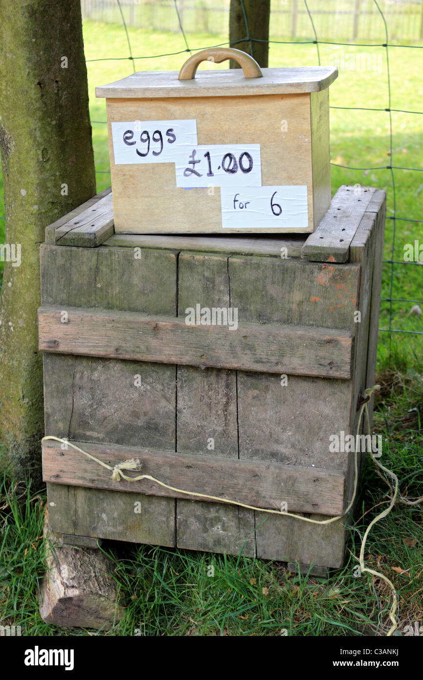 Eggs for sale box in the British countryside near Charmouth Dorset