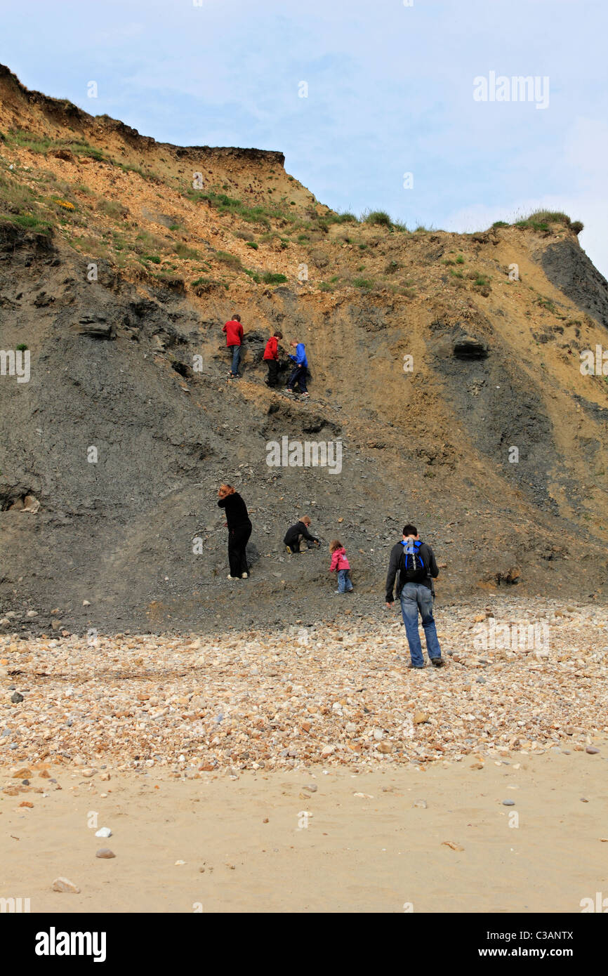 Fossil hunting on Charmouth beach, Dorset, England UK Stock Photo