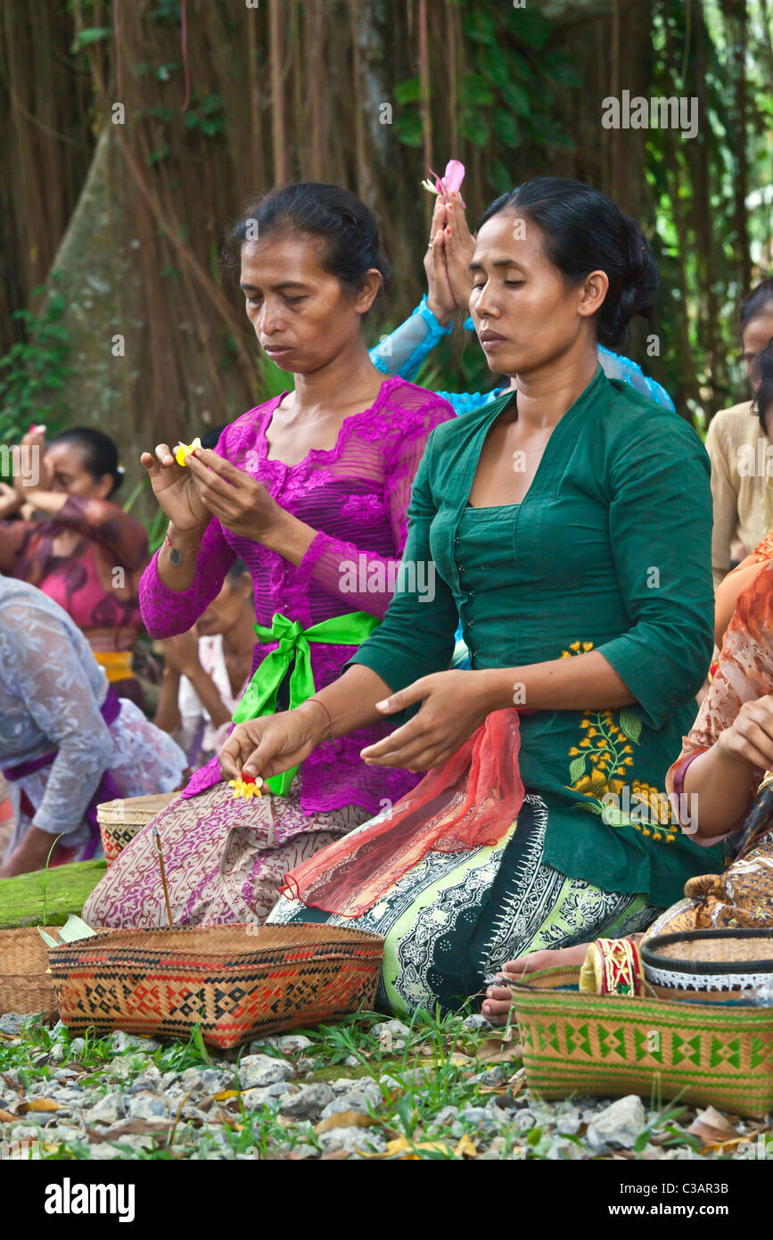 Hindu woman bring offerings to the anniversary ceremony of PURA PRAJAPATI near UBUD - BENTUYUNG SAKTI, BALI Stock Photo