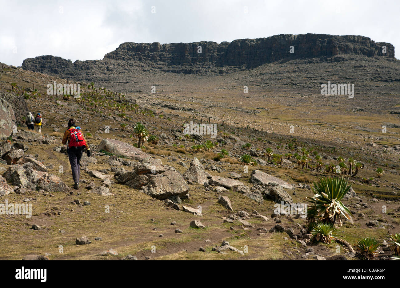 Hikers approach the summit of Ras Dashen, Ethiopia's highest mountain, in the Simien Mountains Stock Photo