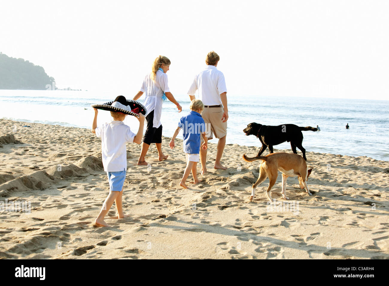 Are Dogs Allowed On Beach In Bermuda
