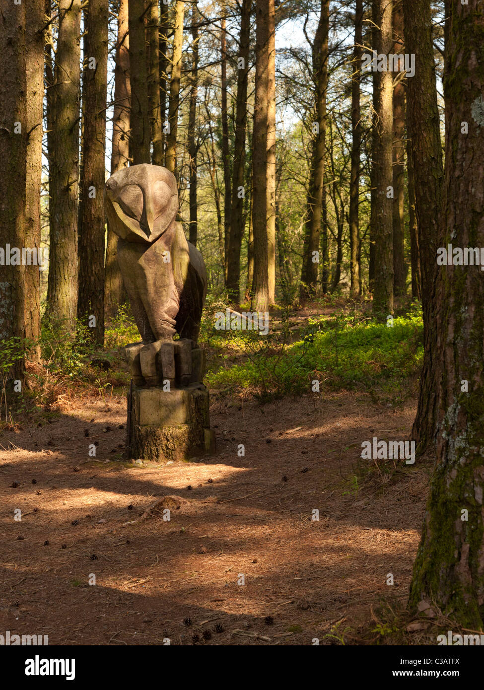 Carved sculpture of an owl on the Webbers Post Easy Access Trail on Exmoor Somerset England UK Stock Photo