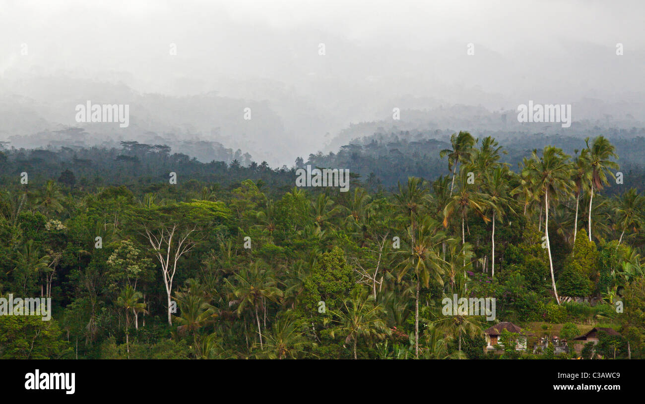 The forested slopes of sacred GUNUNG AGUNG the islands highest volcanic peak - BAlI, INDONESIA Stock Photo