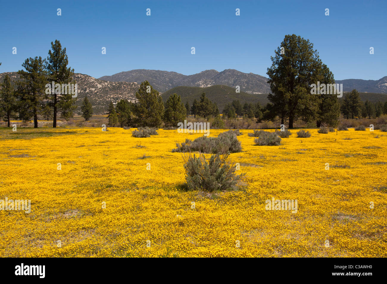 Garner valley hires stock photography and images Alamy