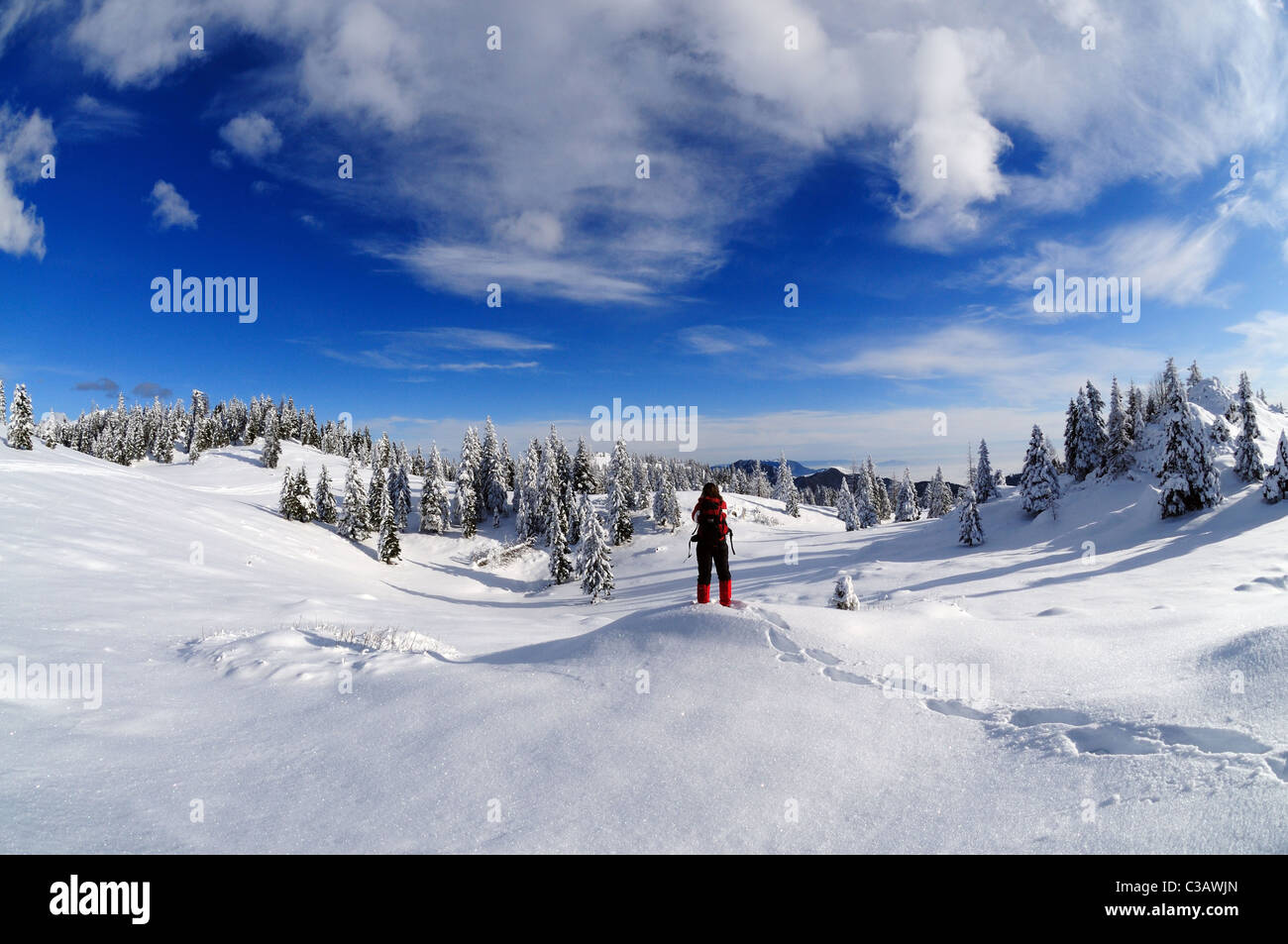 Winter sunny day in Slovenian Alps. Velika Planina Plateau. Stock Photo