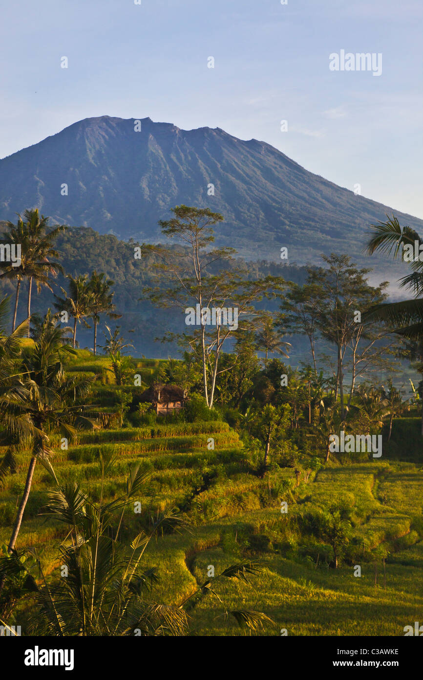 GUNUNG AGUNG the tallest mountain on the island with RICE TERRACES and COCONUT PALMS along SIDEMAN ROAD - BALI, INDONESIA Stock Photo