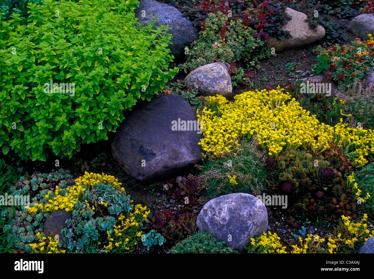Rock garden blend Kingsbrae Horticultural Garden town of St Andrews New Brunswick Province Canada North America Stock Photo