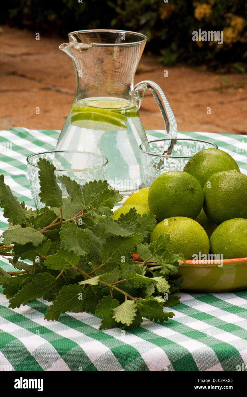 Table setting with limeade limes and bunch of herbs Stock Photo