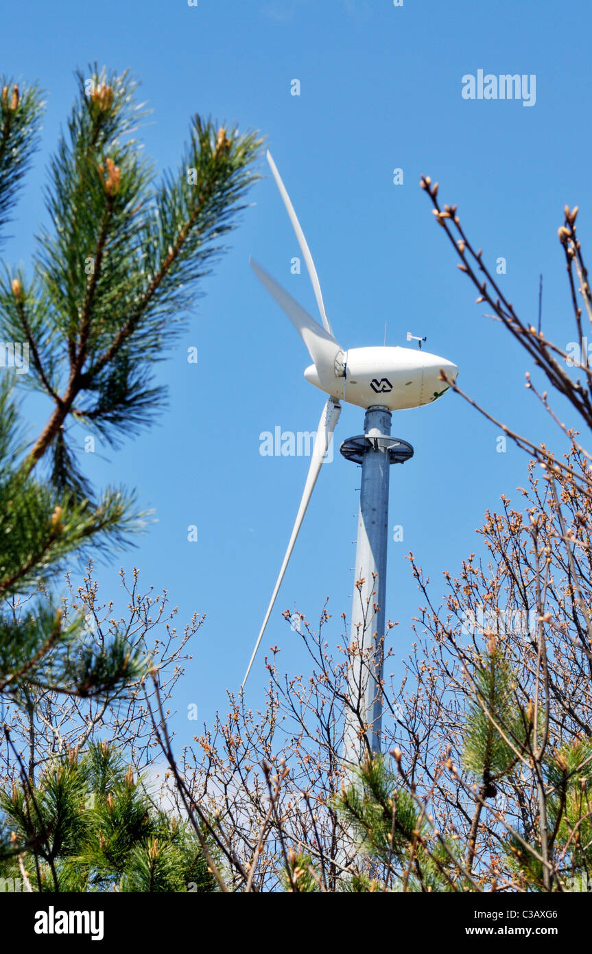 Wind turbine through trees on a sunny blue sky day Stock Photo