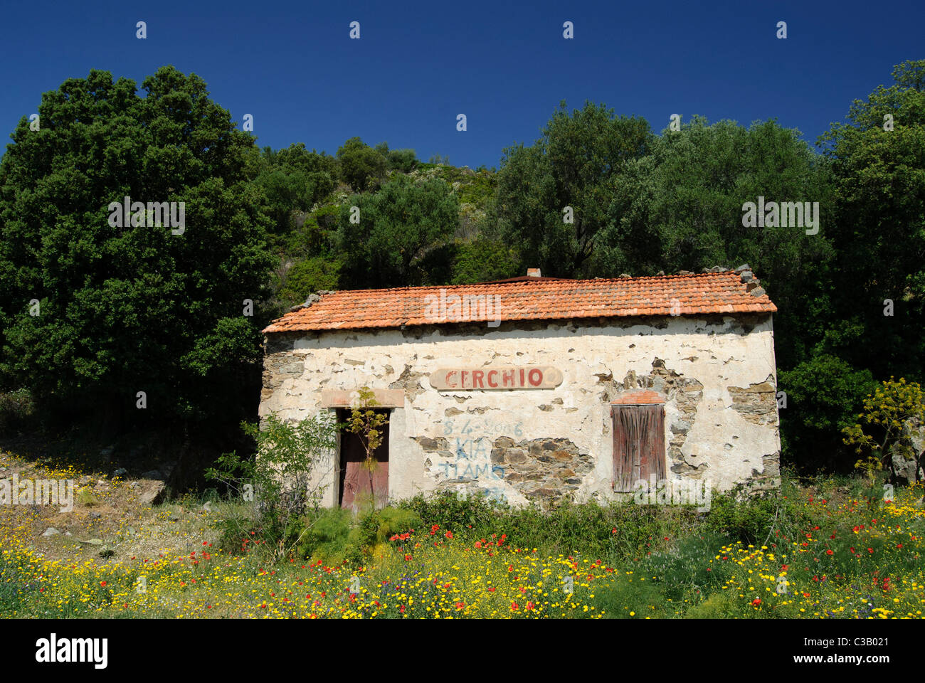 Old House Or Building Surrounded By Blooming Wildflowers Corsica