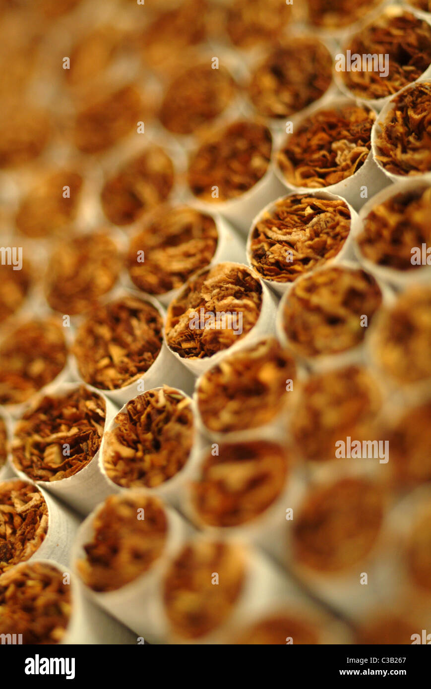Close-up cigarettes. Stock Photo