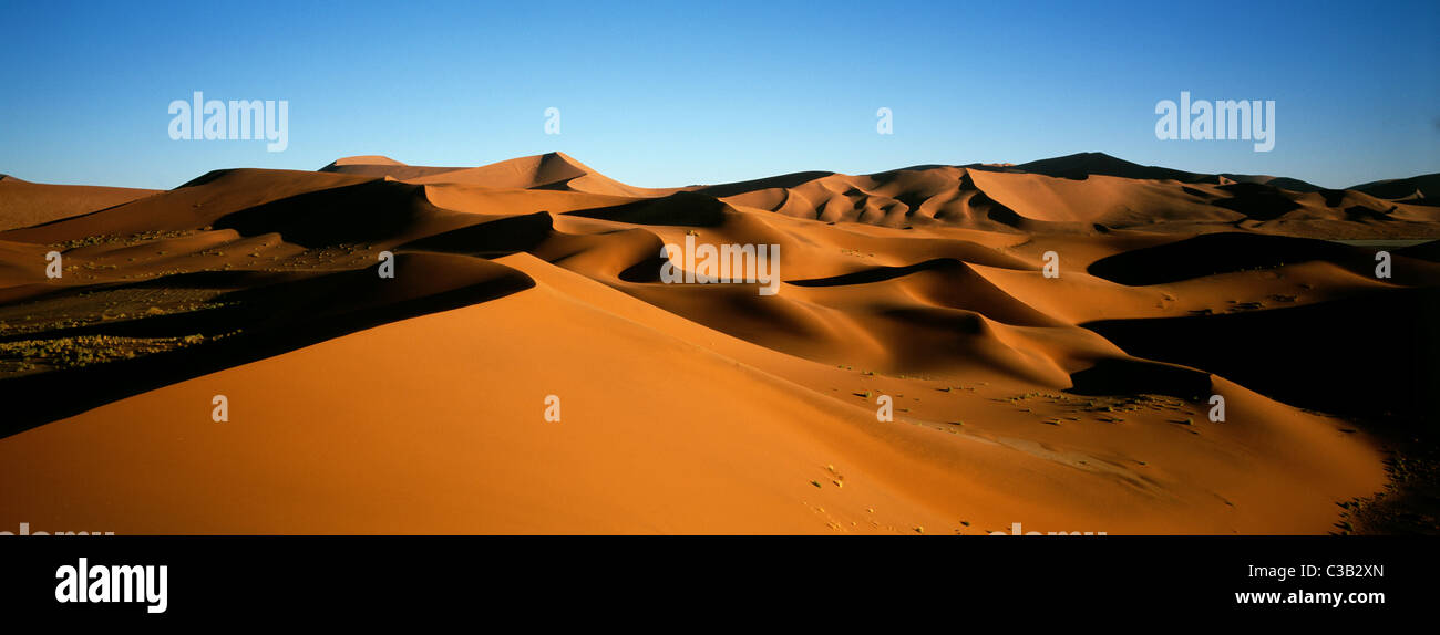 Namibia, the Namib desert, Naukluft national park, Sossusvlei sand ...