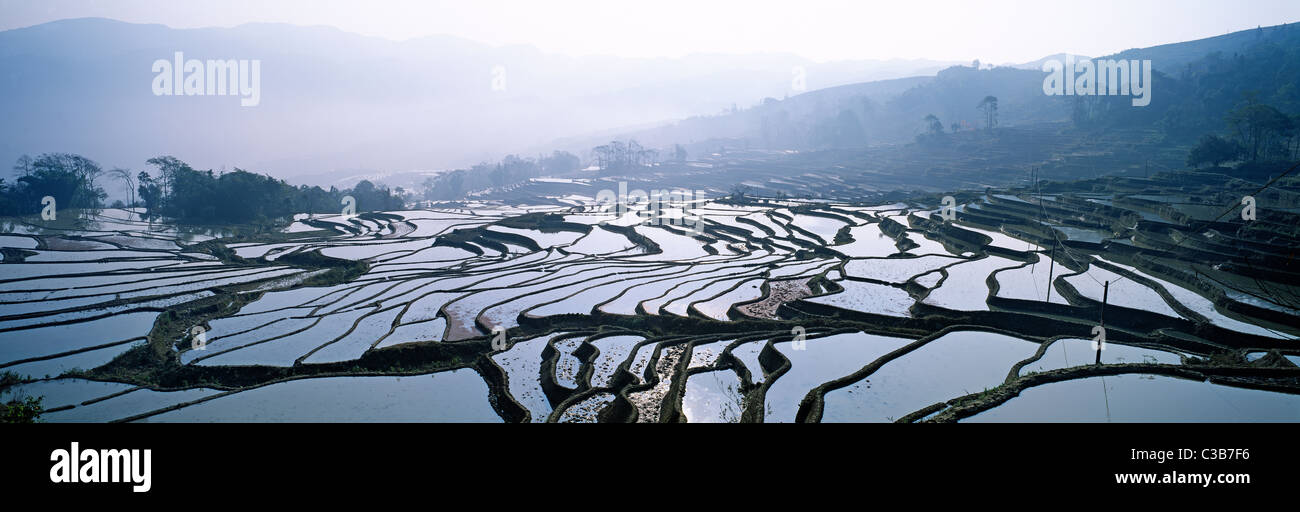 China, Yunnan province, Yuan Yang rice fields Stock Photo