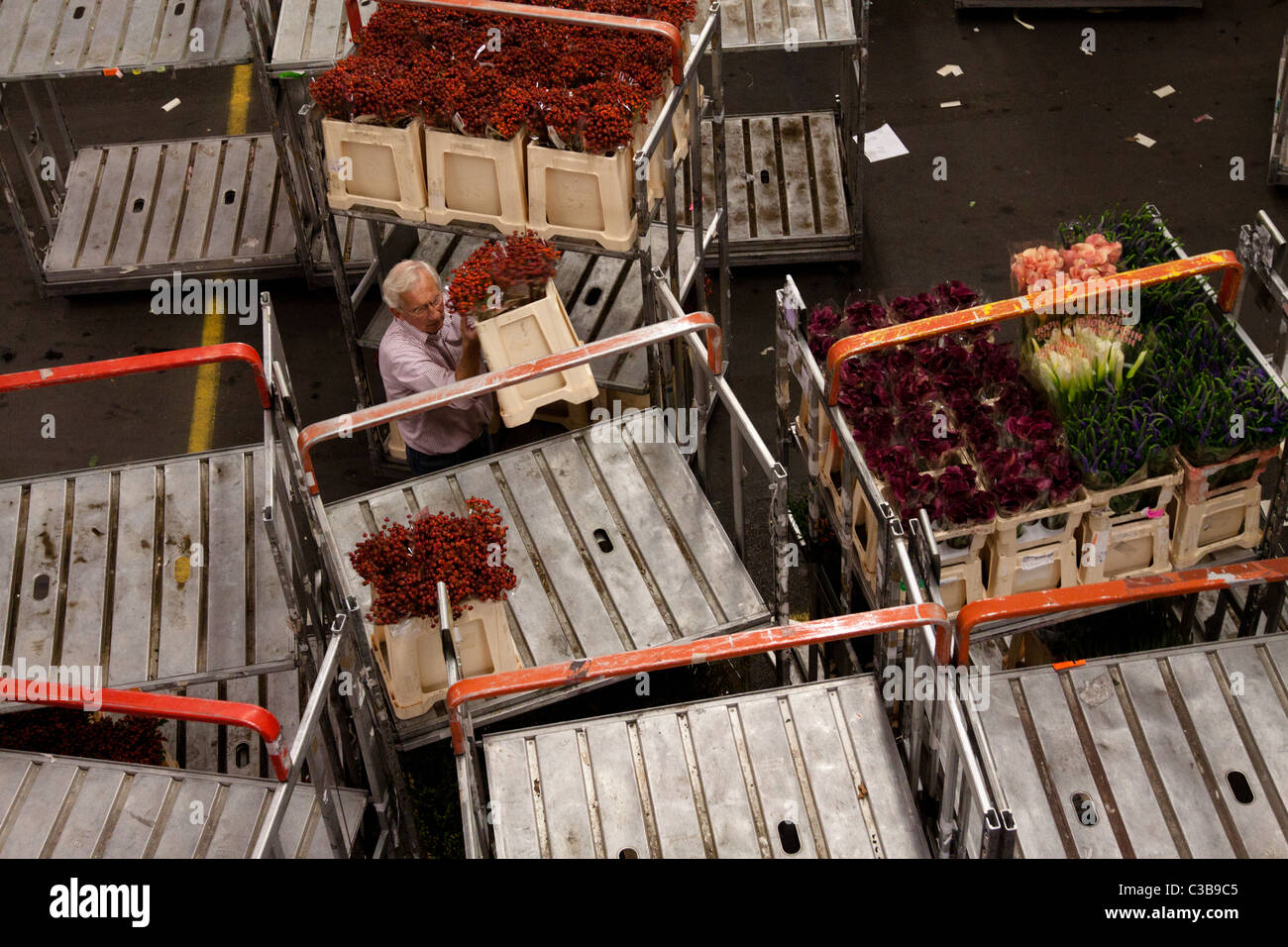 The world's biggest flower auction at Aalsmeer in Amsterdam Stock Photo