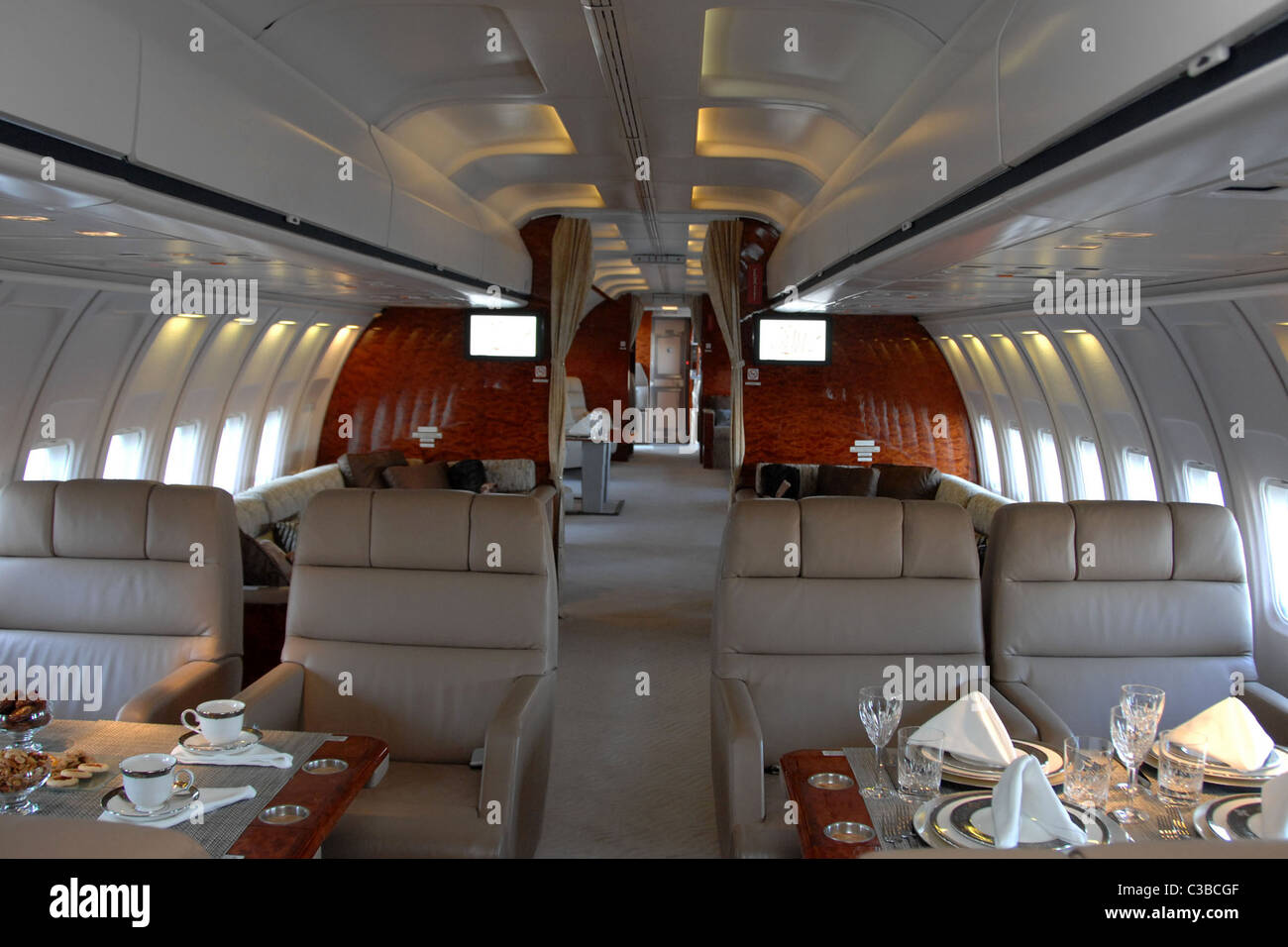 Atmosphere Unveiling of Icon Jet's 737 Vip luxury aircraft at Van Nuys ...