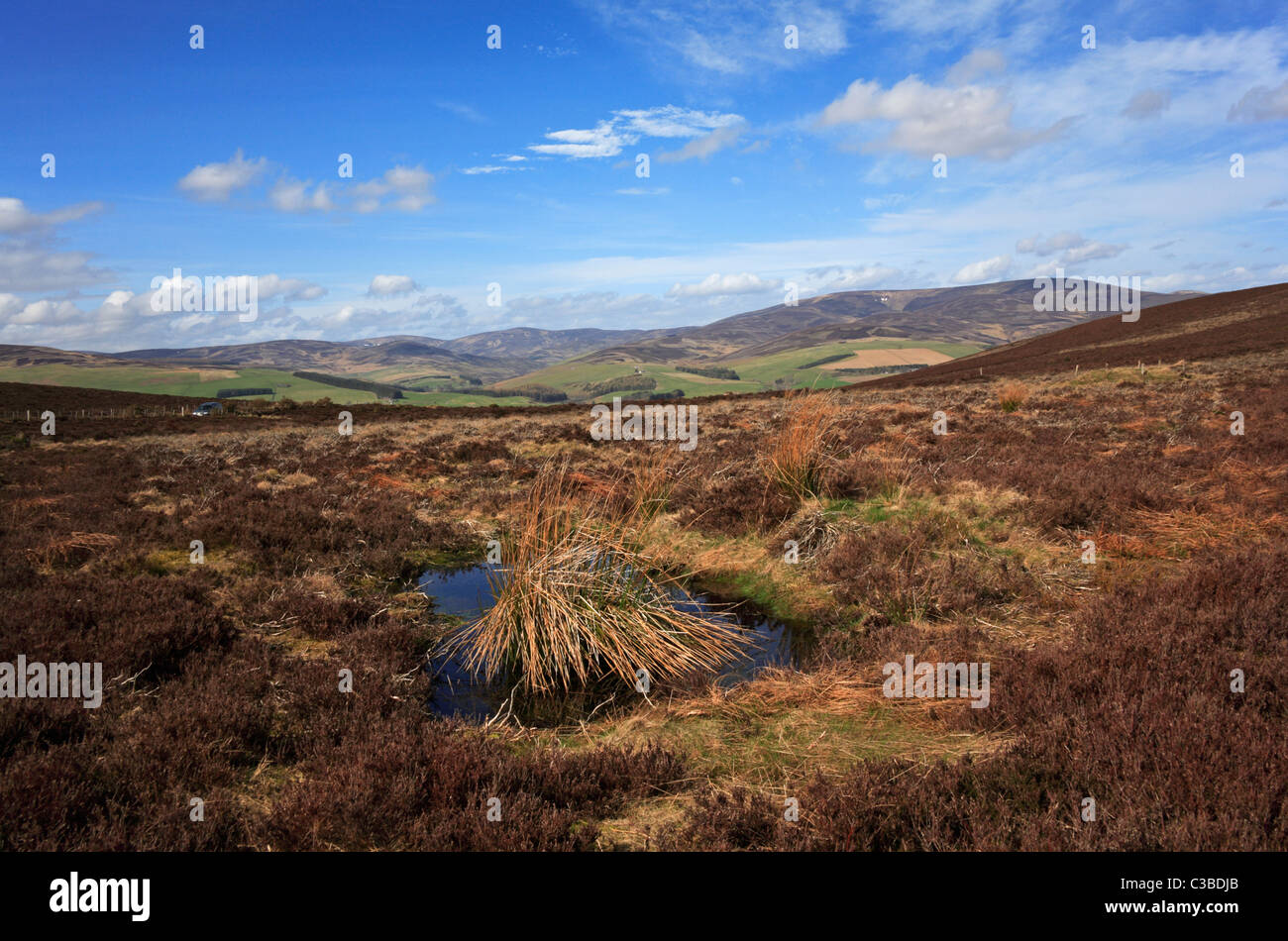 A view of the Angus hills and glens from the lower slopes of the Brown Caterthun hill fort near Edzell, Angus, Scotland, UK. Stock Photo