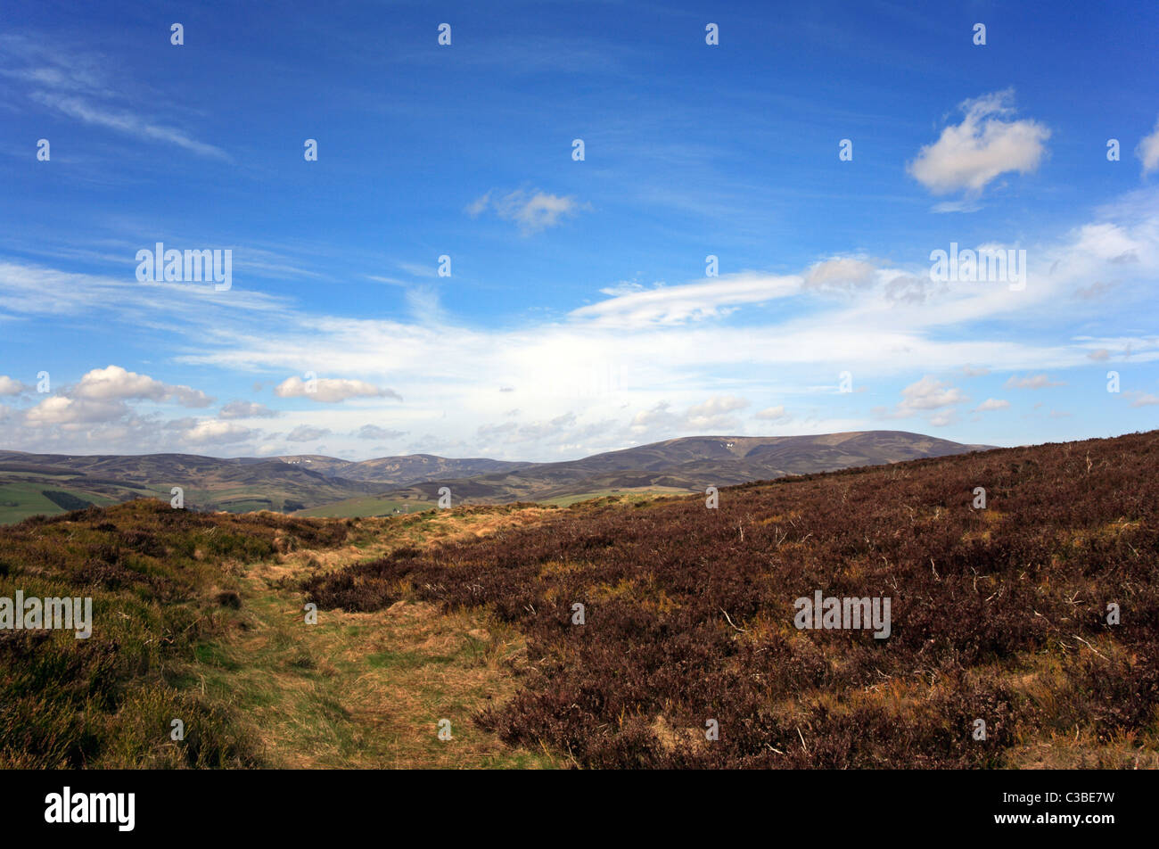 A defensive earthwork on the Brown Caterthun hill fort near Edzell, Angus, Scotland, United Kingdom. Stock Photo