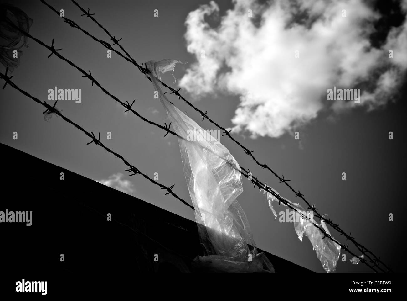 Barbed wire enclosure Black and White Stock Photos & Images - Alamy