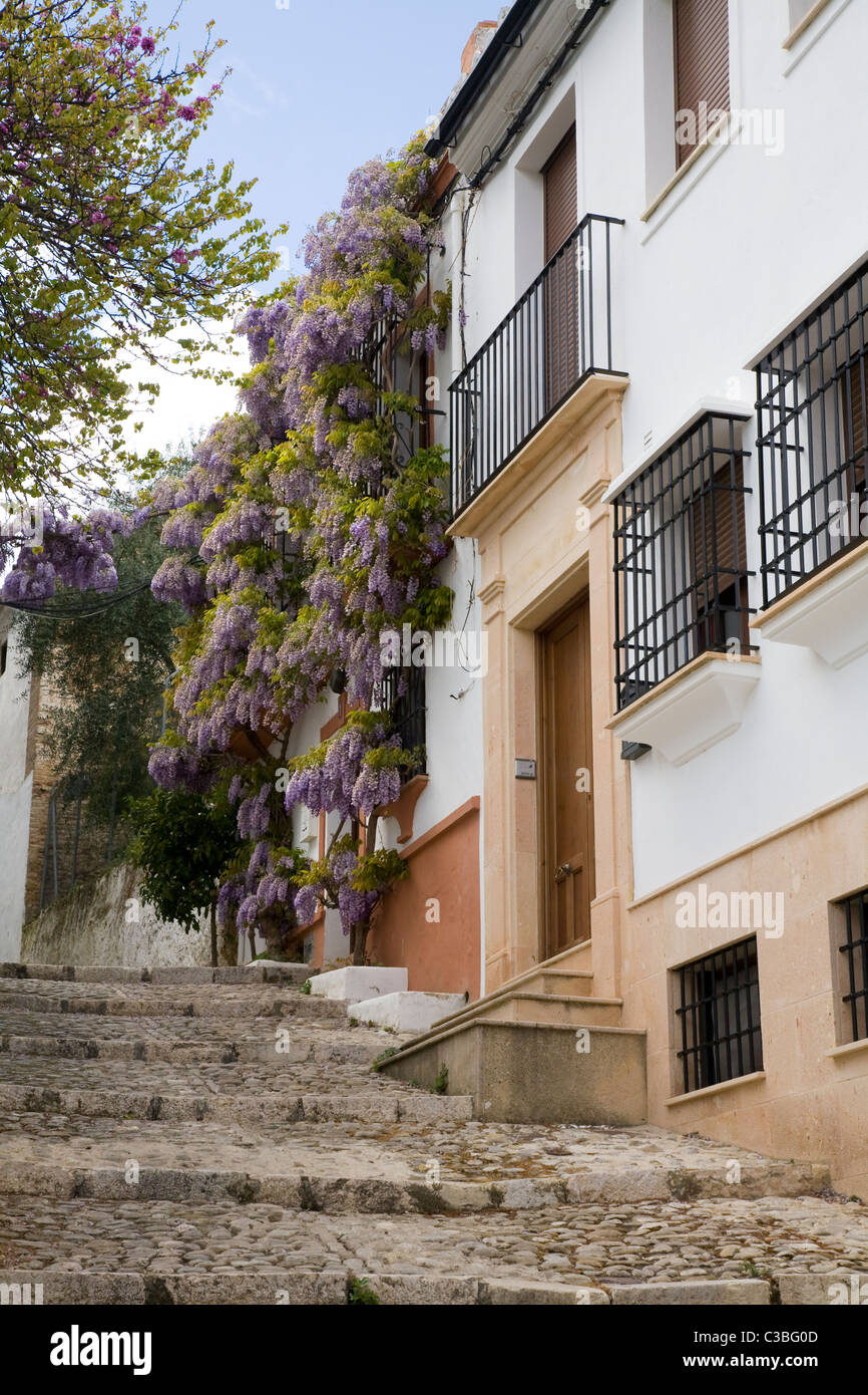 Typical traditional Spanish house & wisteria on hill / back street / streets / road, & blue sky in white city of Ronda, Spain. Stock Photo