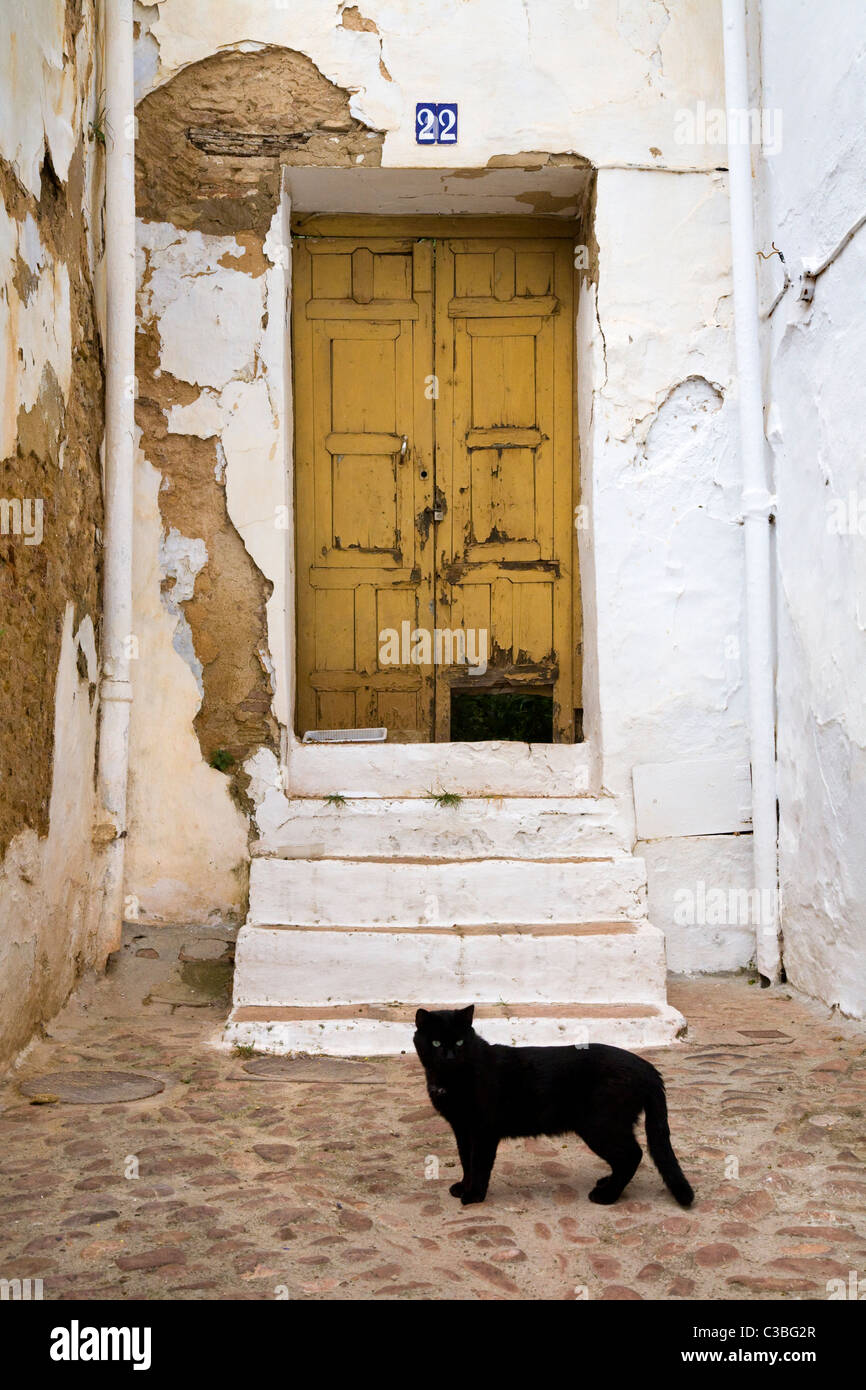 Door step hi-res stock photography and images - Alamy