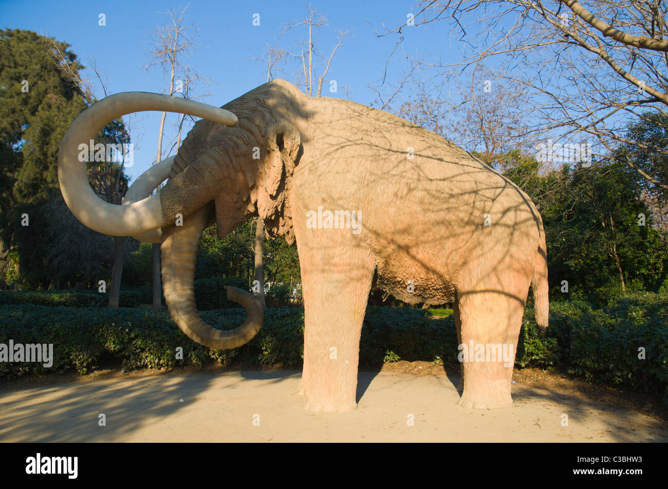 Mamut the sculpture of a mammoth Parc de la Ciutadella park central Barcelona Catalunya Spain Europe Stock Photo