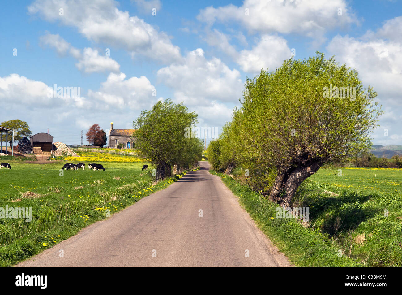 English countryside scene near Godney and Fenny castle on the Somerset levels with Godney church on the horizon Stock Photo