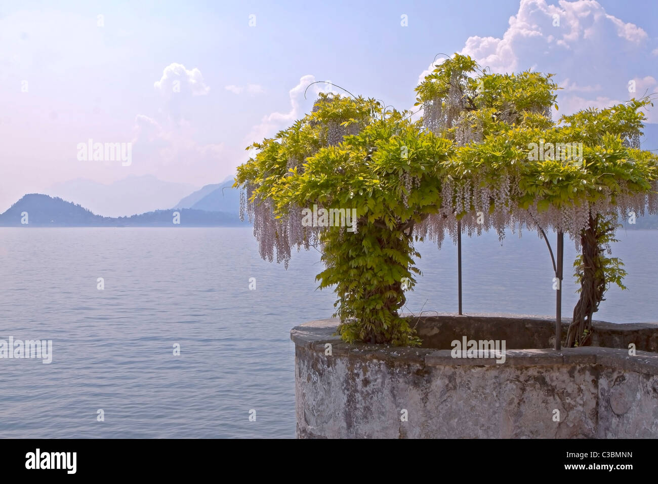 Laube mit Glyzinien in Menaggio, Lago di Como, Italien Stock Photo