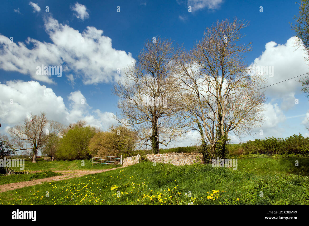 Pretty countryside scene taken near Fenny castle, Somerset levels, England Uk on bright sunny spring day Stock Photo