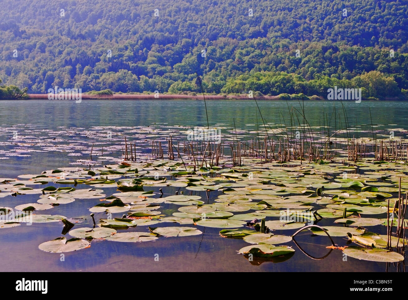 idyllischer Gebirgssee Lago di Piano Stock Photo