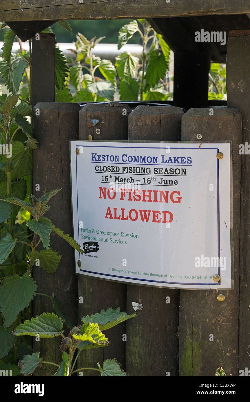 No fishing allowed notice Stock Photo