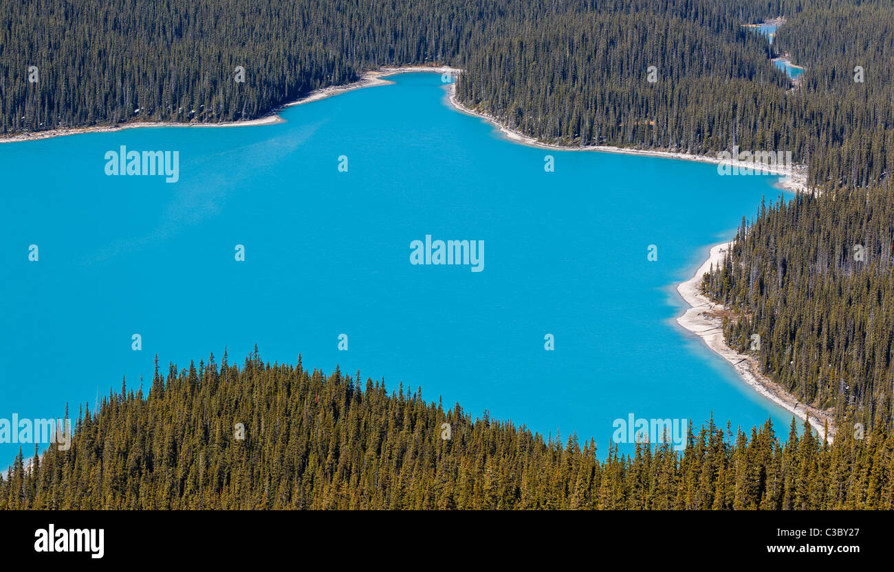 Peyto Lake, Icefields Parkway, Banff National Park, Canadian Rockies, Alberta, Canada Stock Photo