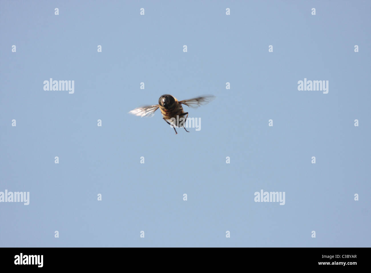 Drone Fly in Flight Stock Photo - Alamy