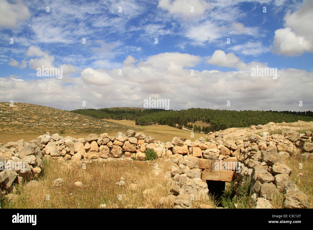 Israel, Shephelah, Burial cave in Hurvat Rimon, site of an ancient Jewish village Stock Photo