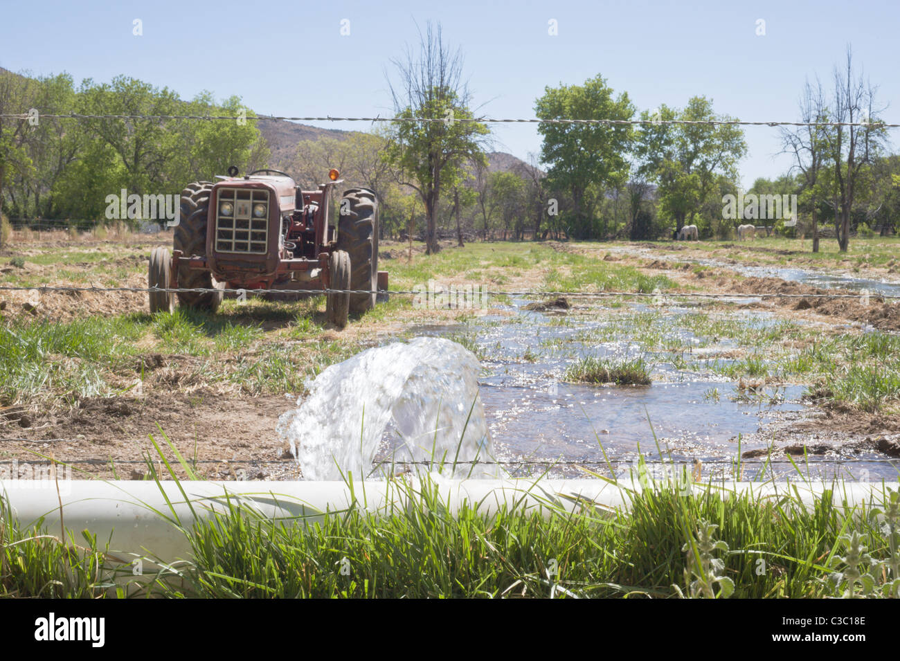 Water for farming and ranching is a precious commodity in the Hondo Valley, New Mexico. Stock Photo