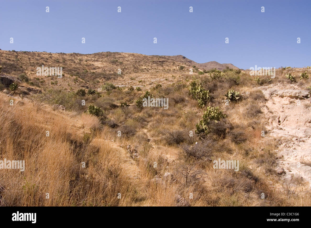 Central Mexico landscape during the dry season Stock Photo