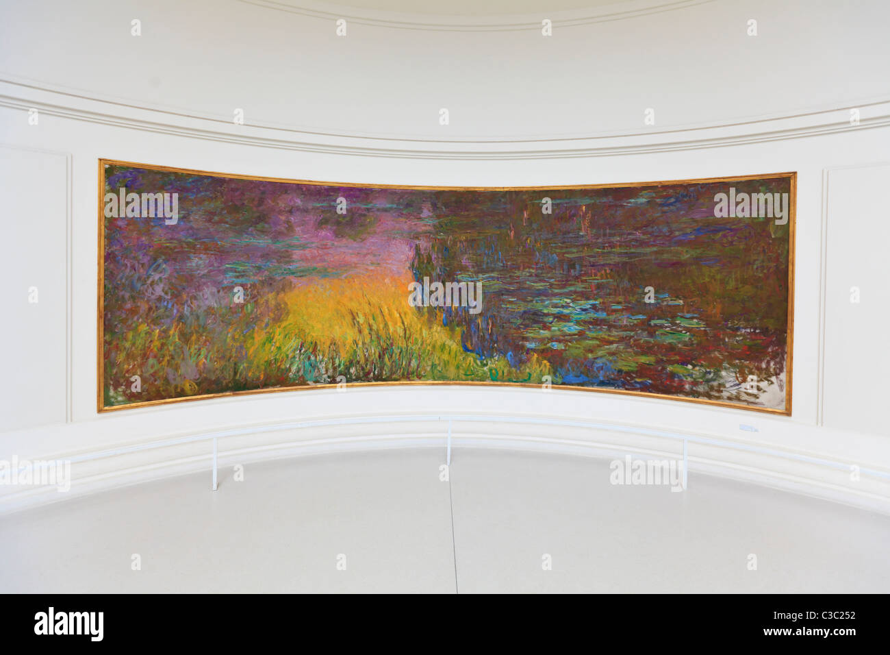 The Water Lilies by Claude in the Orangery, Tuileries Garden